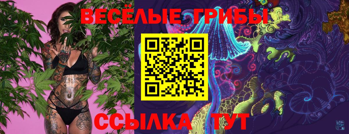 Псилоцибиновые грибы мицелий Воскресенск